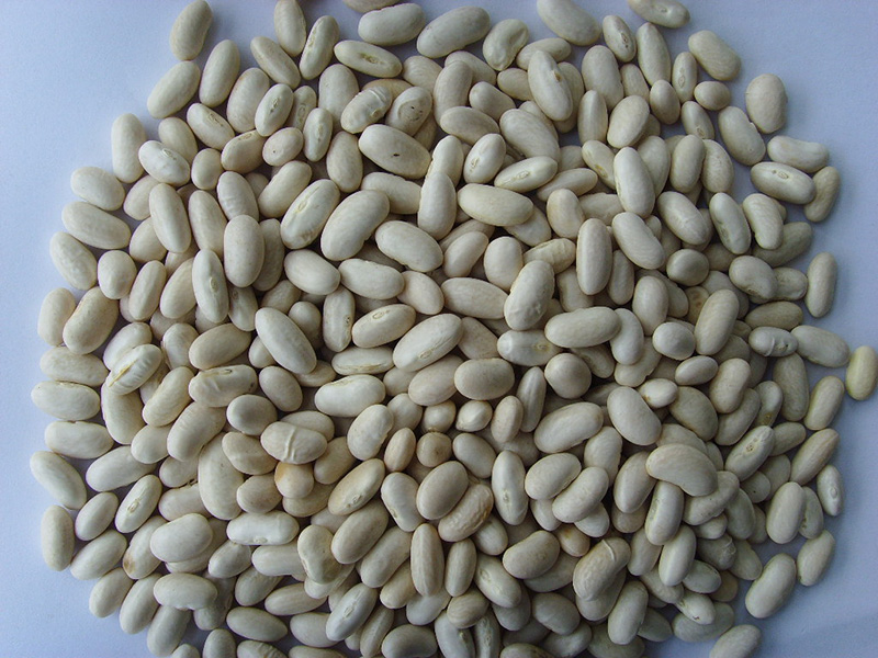 白沙克Baishake White Kidney Beans,300-360grains