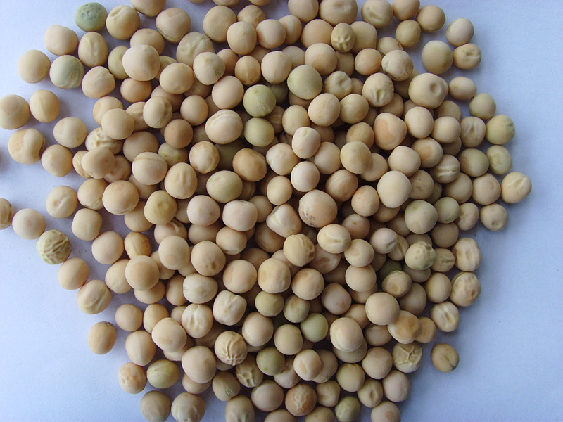 白豌豆White Peas