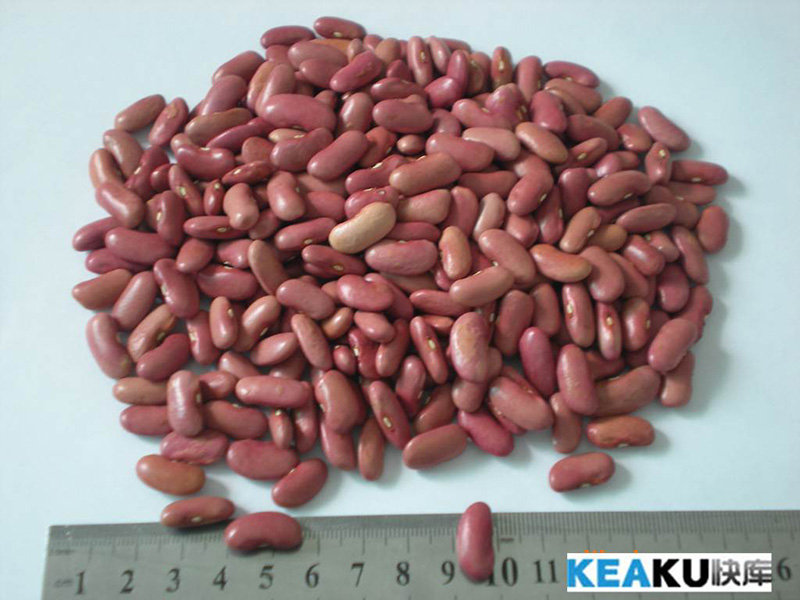 粉红芸豆Light Red Kidney Beans 190-240grains