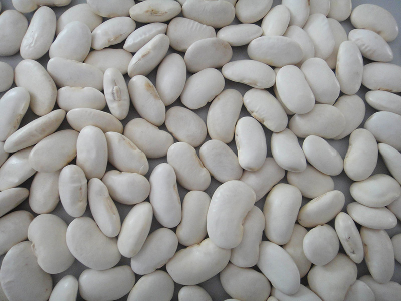 大白芸豆White Kidney Beans, big size 45-110grains