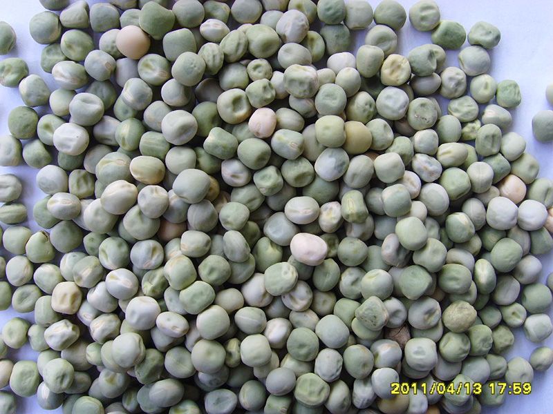 绿豌豆Green Peas, small size
