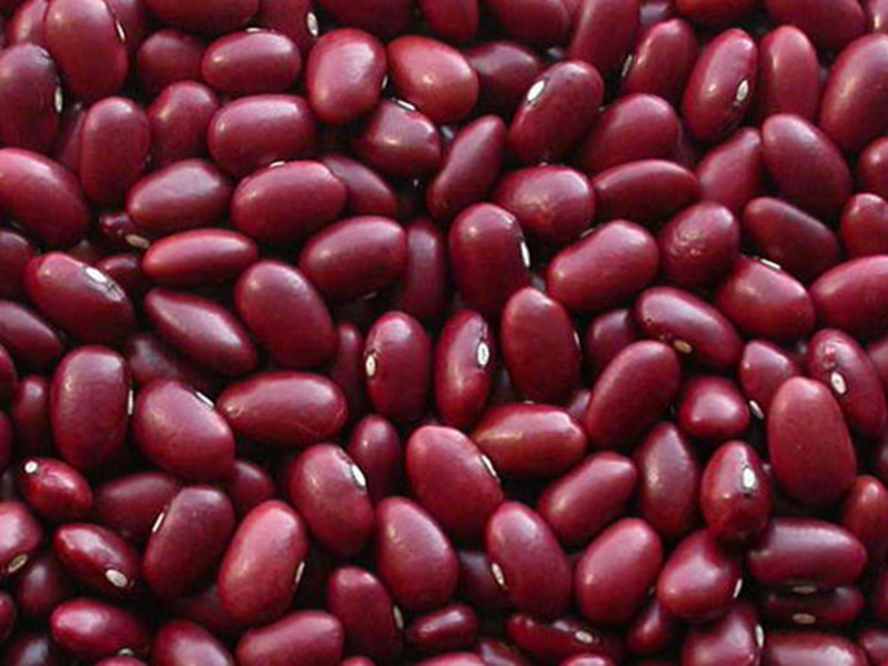 日本红芸豆Japanese Red Kidney Beans,160grains