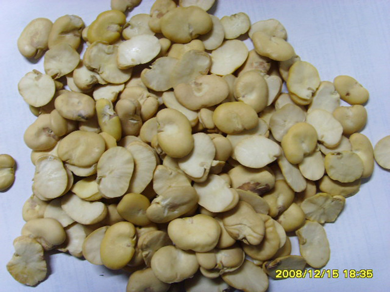 手工去皮蚕豆瓣Hand Peeled Splited Broad Bean kernels