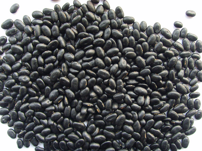 小黑豆Small Black Beans