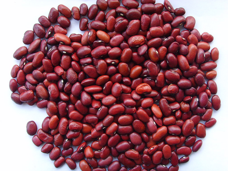 小红芸豆Small Red Kidney Beans 330grains