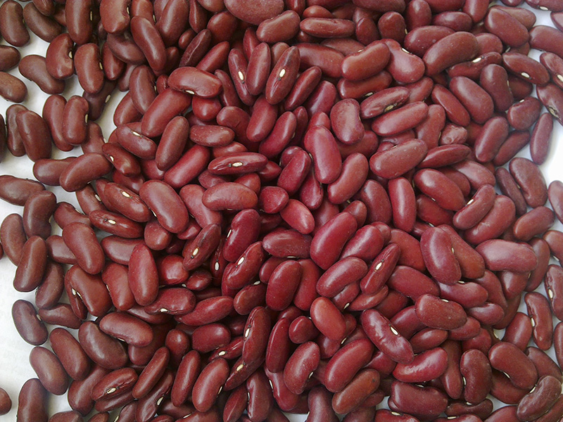 英国红Dark Red Kidney Beans,200-220grains