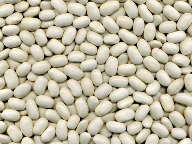 中白芸豆Medium White Kidney Beans, 180-220grains