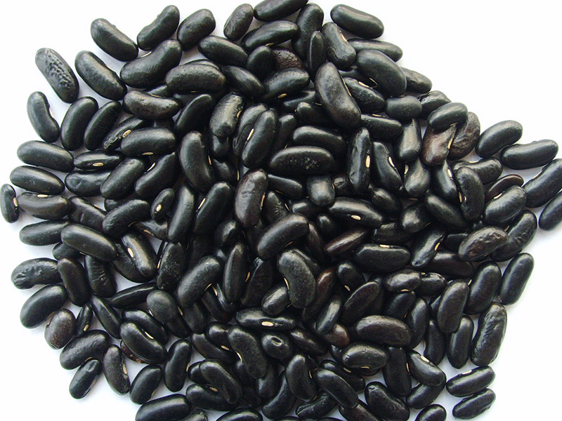 黑芸豆Black Kidney Beans